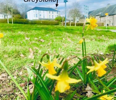 Criccieth House | Rooms At Greystoke