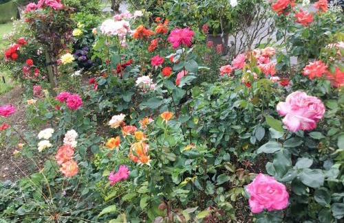 Heligan House | Rose Cottage