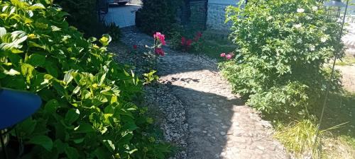 Ljubljana House | ROSE Resort, ROOM 40m2 with terrace 25m2 , outdoor cooking in greeny area for 4 person