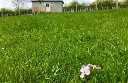 Carlton-in-Cleveland Other | Rosemary Shepherds Hut, Clay Bank Huts