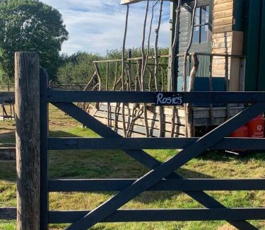 Liskeard House | Rosies