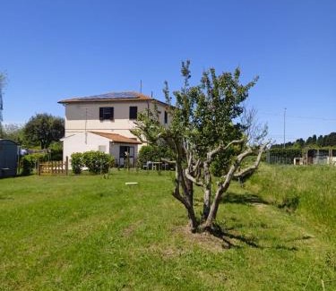 Vada Apartment | Rosignano Marittimo Rosa Bianca
