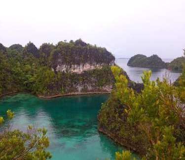 Pulau Fam House | Rosye homestay raja ampat
