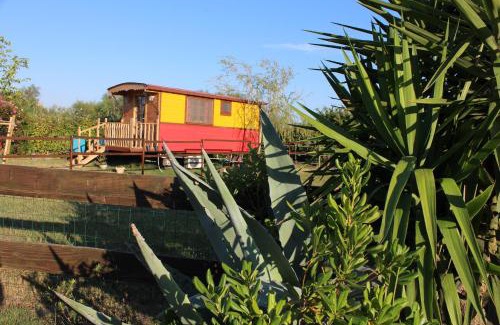 Saintes-Maries-de-la-Mer Bed & Breakfast | Roulotte Lou Gregau