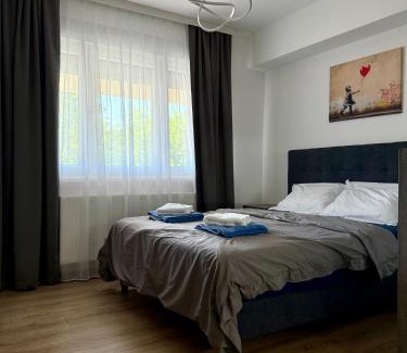 Paracin Apartment | Royal Apartmani 3