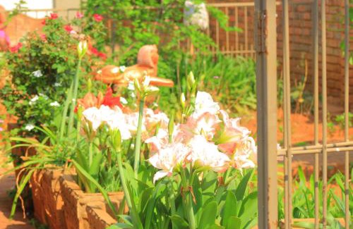 Zeerust Bed & Breakfast | Royal BNB and SPA