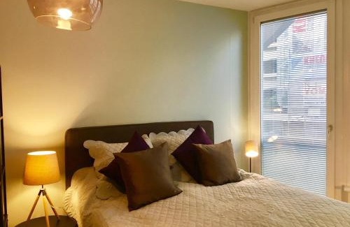 Wilson Apartment | Rue Jean-Antoine Gautier