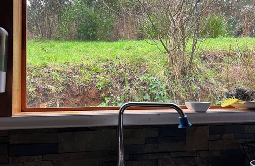 Valdivia Cabin | Rustic cabin 5 minutes from Valdivia. Ideal for families.