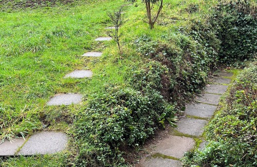 Valdivia Cabin | Rustic cabin 5 minutes from Valdivia. Ideal for families.