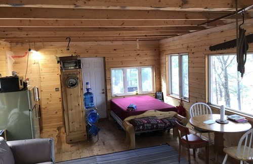 Whitewater Region Cabin | Rustic Cabin on 17 acres of wilderness-1000 ft waterfront w/Ottawa Valley view