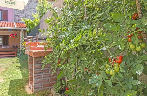 Sajini House | Rustic Holiday House / pet friendly / wifi
