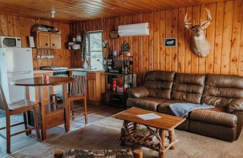 Lewiston Cabin | Rustic Pines Retreat Lewiston Michigan