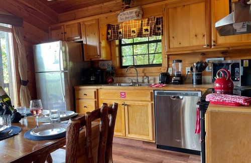 Gatlinburg - Pigeon Forge Cabin | RusticCabin HotTub Firepit, Views, PetFriendly