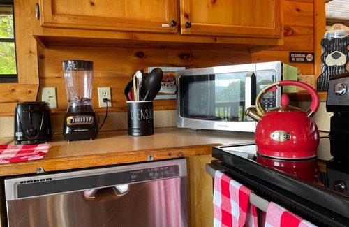 Gatlinburg - Pigeon Forge Cabin | RusticCabin HotTub Firepit, Views, PetFriendly