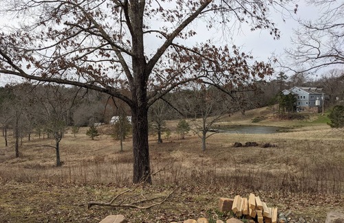 Oden RV Rental | RV site #10 Ouachita Campground at Edendell