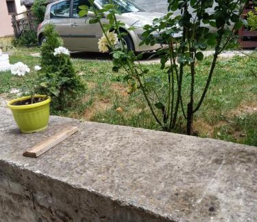 Visegrad Bed & Breakfast | Rzav Višegrad centar