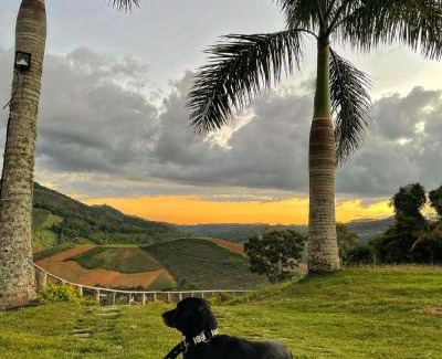 Domingos Martins House | Sítio Nicolau - Maravilhoso sítio nas Montanhas em Domingos Martins!