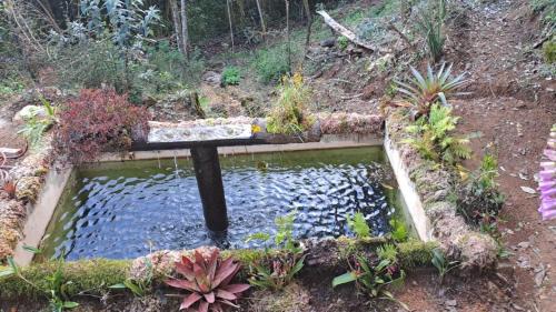 Paramo Cabin | S Natura Birding and Photography