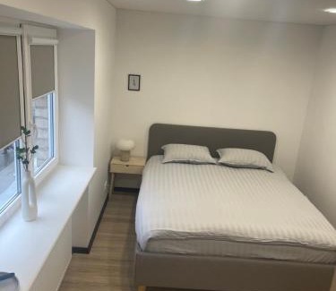 Panevezys Apartment | S&T&A&R apartamentai