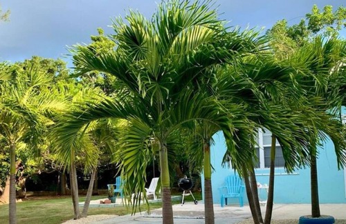 West Bay Apartment | S4 BP Steps to Beach Free Upgrade Stay 30 Oct