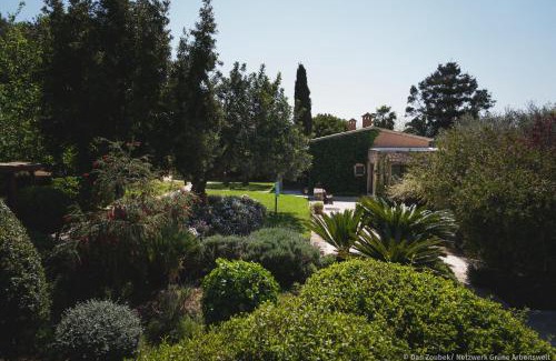 Manacor House | Sa Vaqueria