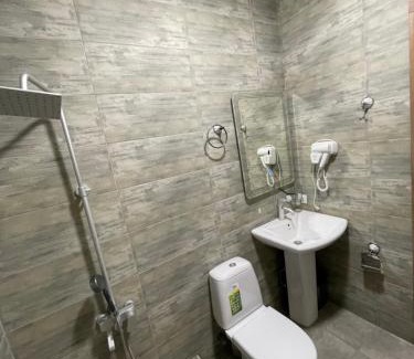 Likani Apartment | Sadgeri Cottage Retreat in Borjomi