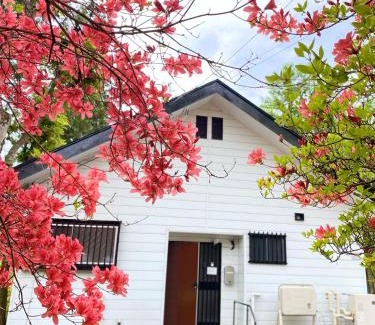 Nikko House | Safa's Guest House