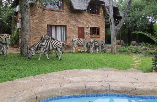 Marloth Park House | Safari in the garden, your private viewing decks. Enjoy the bush and relax!