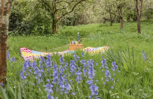 Old Cleeve House | Saint Pancras Chapel