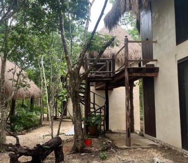 Tulum Other | Sak lool Tulum