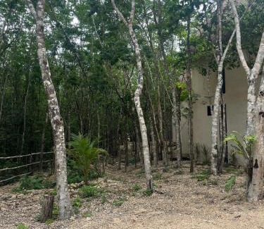 Tulum Other | Sak lool Tulum