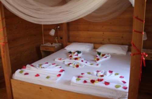 Avlana Bed & Breakfast | Sakin Vadi Winehouse