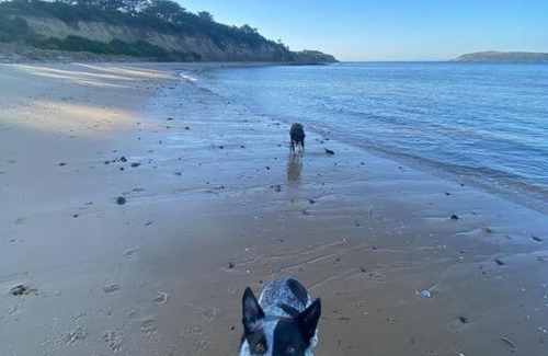 San Remo House | Salty Paws Dog Friendly Luxe Cottage