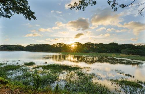 Dambulla Hotel | Saludiya Retreat Resort and SPA