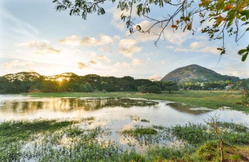 Dambulla Hotel | Saludiya Retreat Resort and SPA