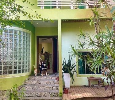 Campeche Sul House | Samauma Floripa Aluguel de Quartos