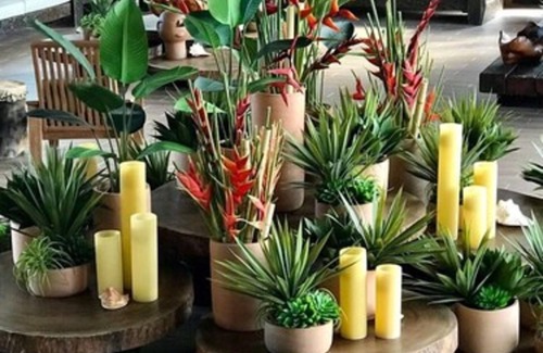 Porto de Galinhas Resort | Samoa Beach Resort