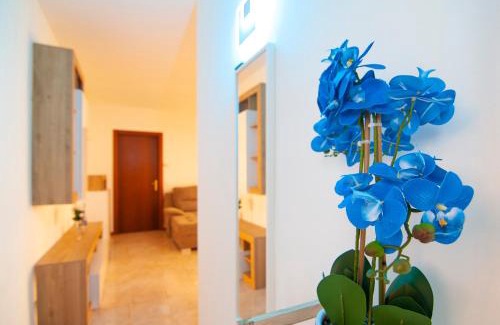 Sud Apartment | San Giovanni Home