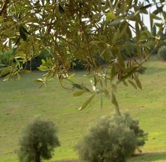 Pesaro House | San Rocco Country House