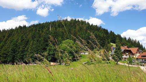 Bad Rippoldsau-Schapbach Apartment | Sandras Bergstation