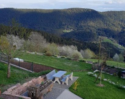 Bad Rippoldsau-Schapbach Apartment | Sandras Bergstation