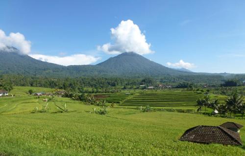 Penebel Other | Sang Giri Mountain Tent Resort