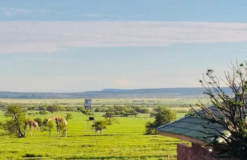 Bloemfontein Cabin | Sangiro Game Lodge - Sustainable Electricity and Water