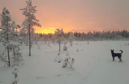 Rovaniemi Apartment | Santa's cottage