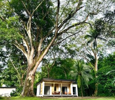 Manzanillo House | Santa Teresa Manzanillo Walk to Beach, New Home, Center of Tranquil Town