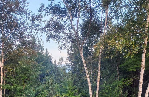 Jefferson House | Santas Village, Hiking, Golfing, Sleeps 8, Hot tub, Game Room, Tesla Charger LV2