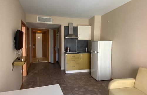 Armutlu Hotel | SANTE TERMAL HOTEL