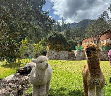 Urubamba Other | Santuario Holistico Pumawanka