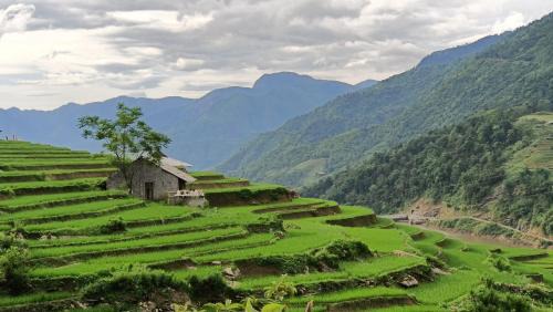Sa Pa House | Sapa's Soul