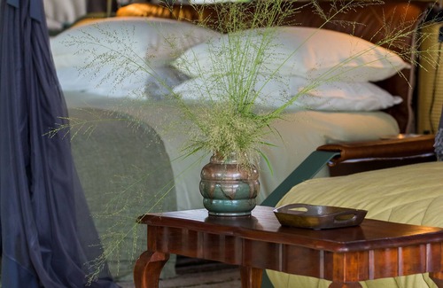 Thorny Bush Game Reserve Cabin | Saseka Tented Camp